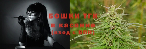 амф Россошь