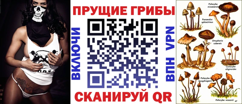 Галлюциногенные грибы Magic Shrooms наркота Пудож